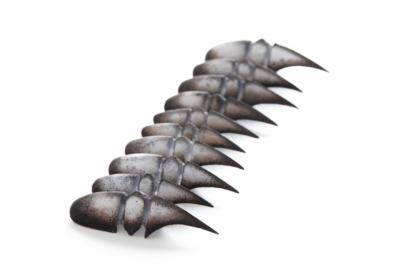 Bestiary: Scarab's Carapace