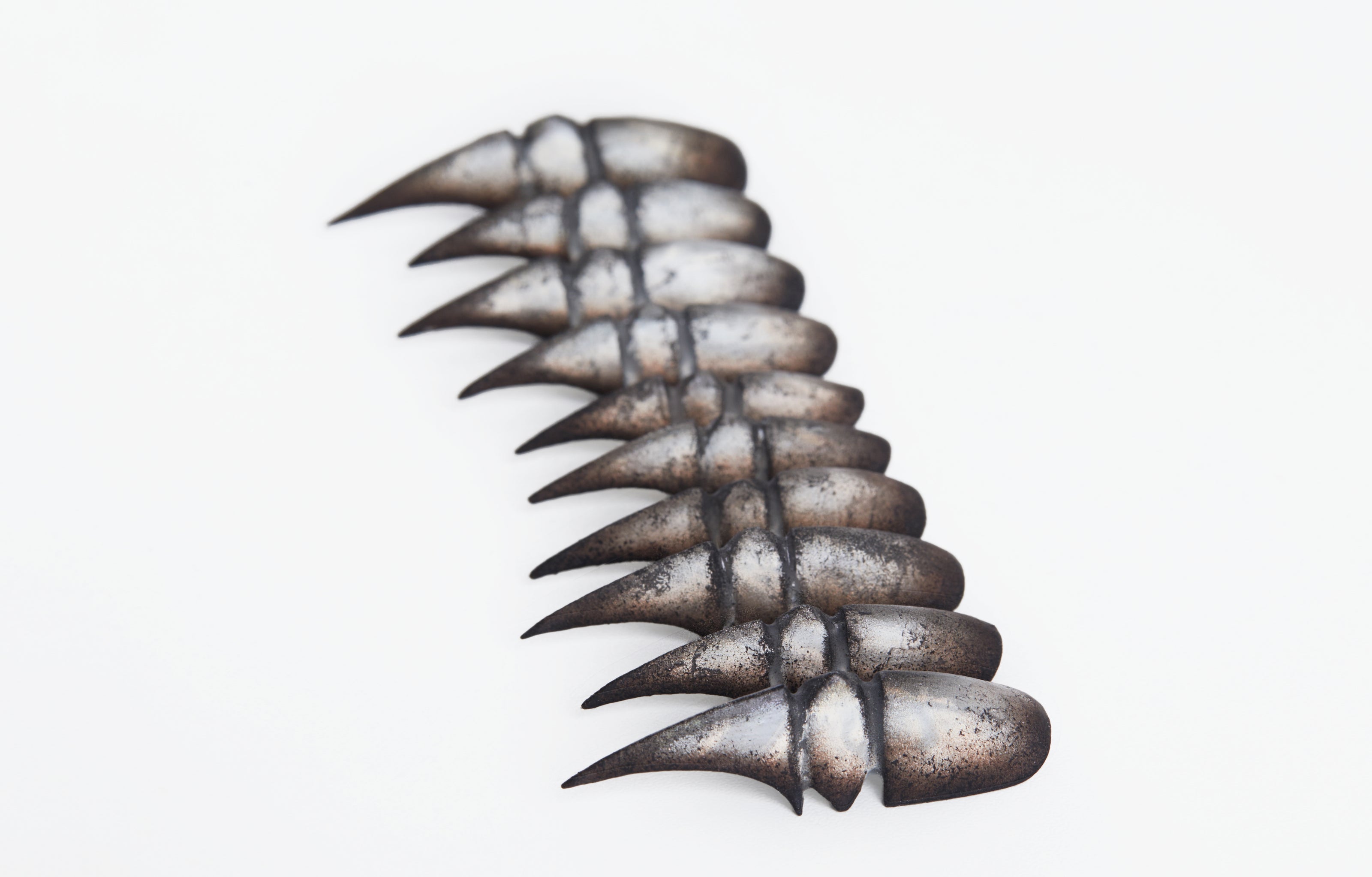 Bestiary: Scarab's Carapace