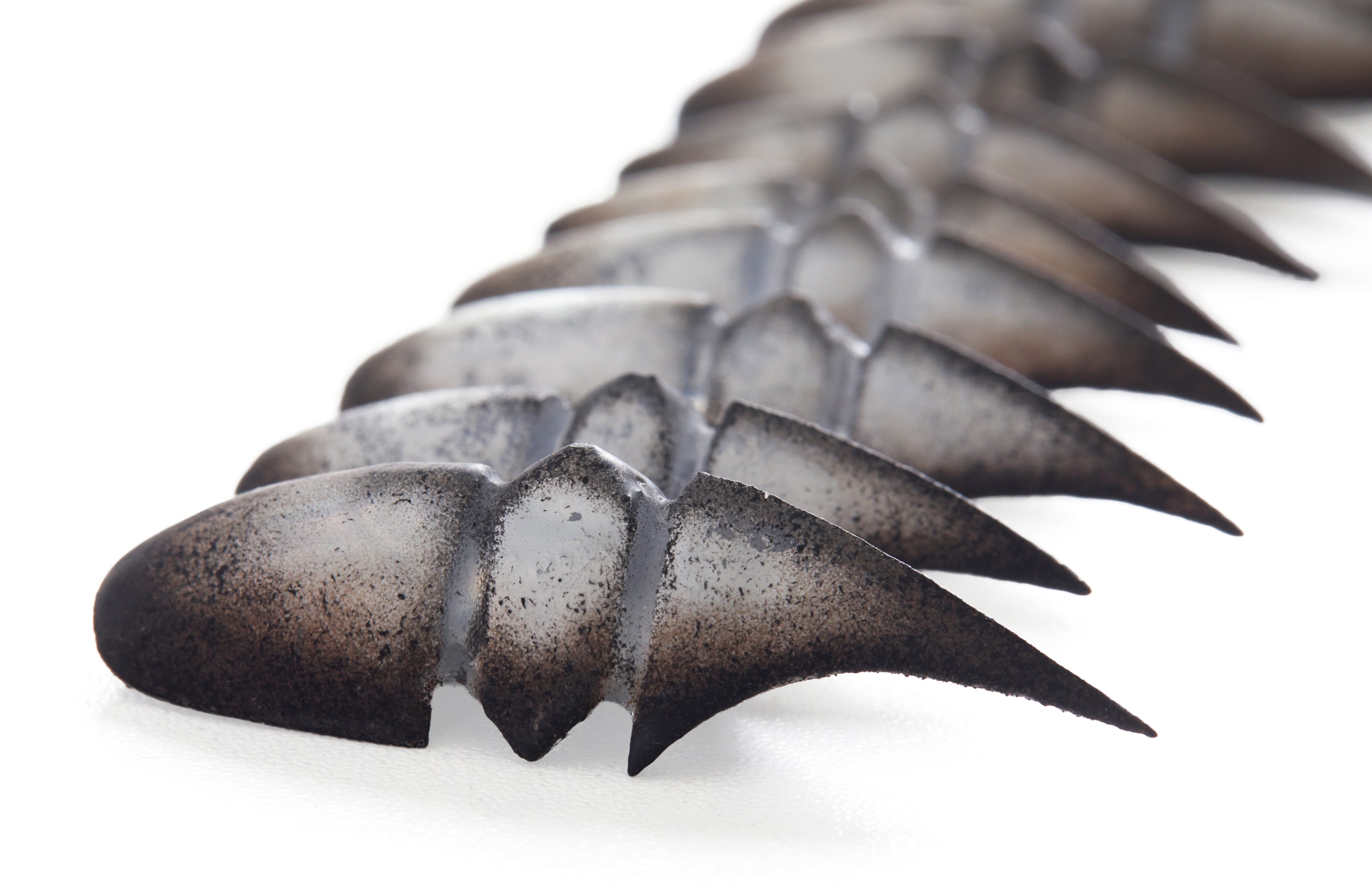 Bestiary: Scarab's Carapace