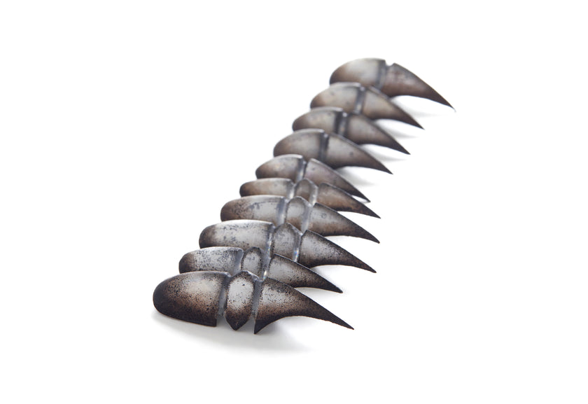 Bestiary: Scarab's Carapace