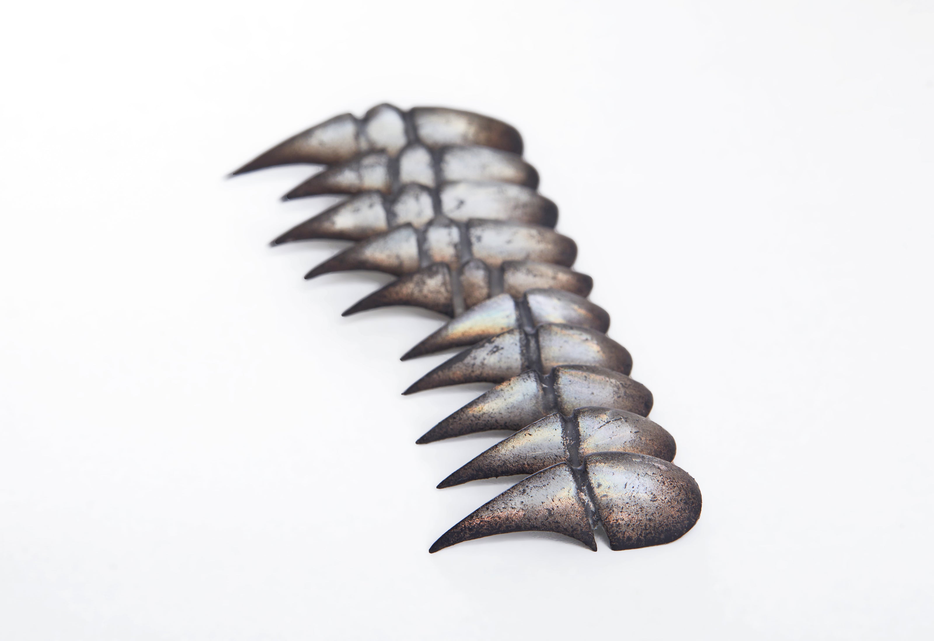 Bestiary: Scarab's Carapace