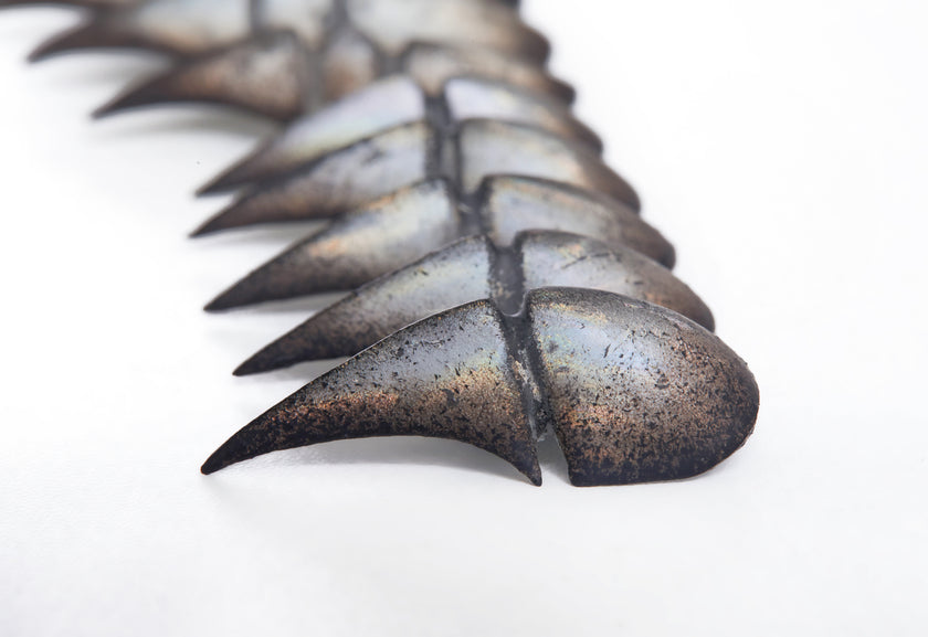 Bestiary: Scarab's Carapace