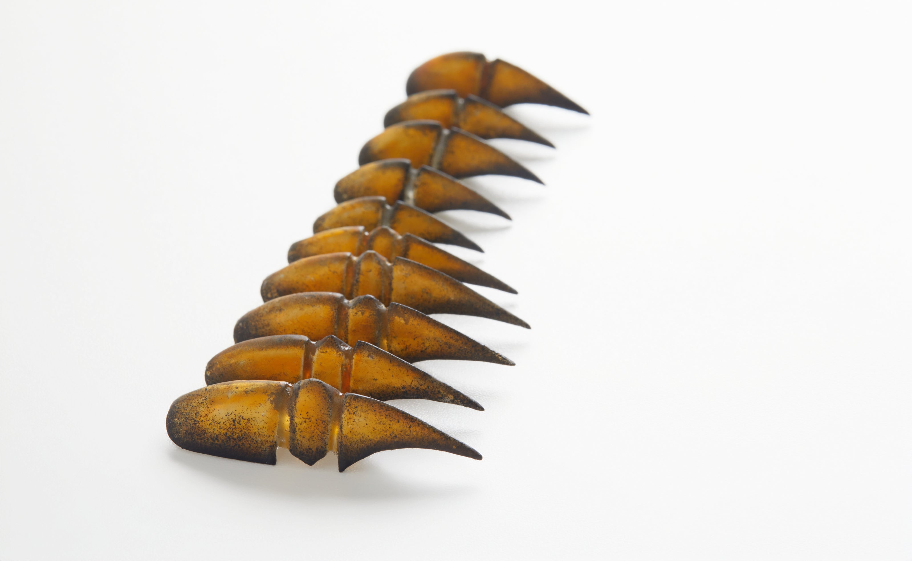 Halloween Edition — Bestiary: Scarab's Carapace