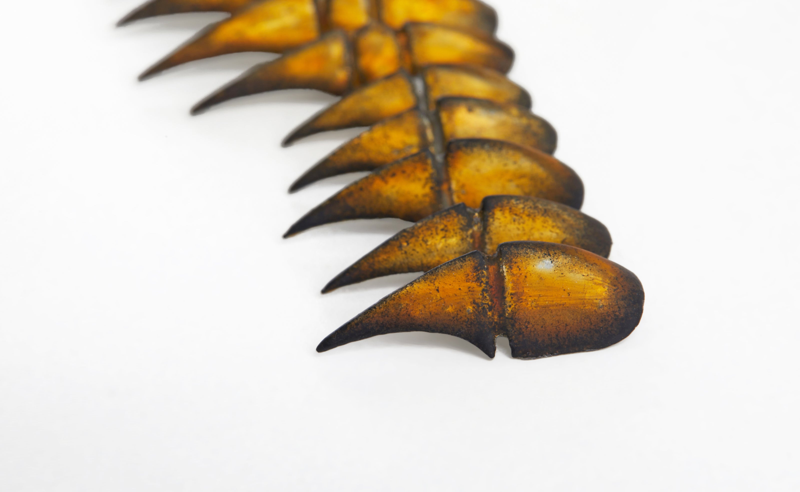 Halloween Edition — Bestiary: Scarab's Carapace