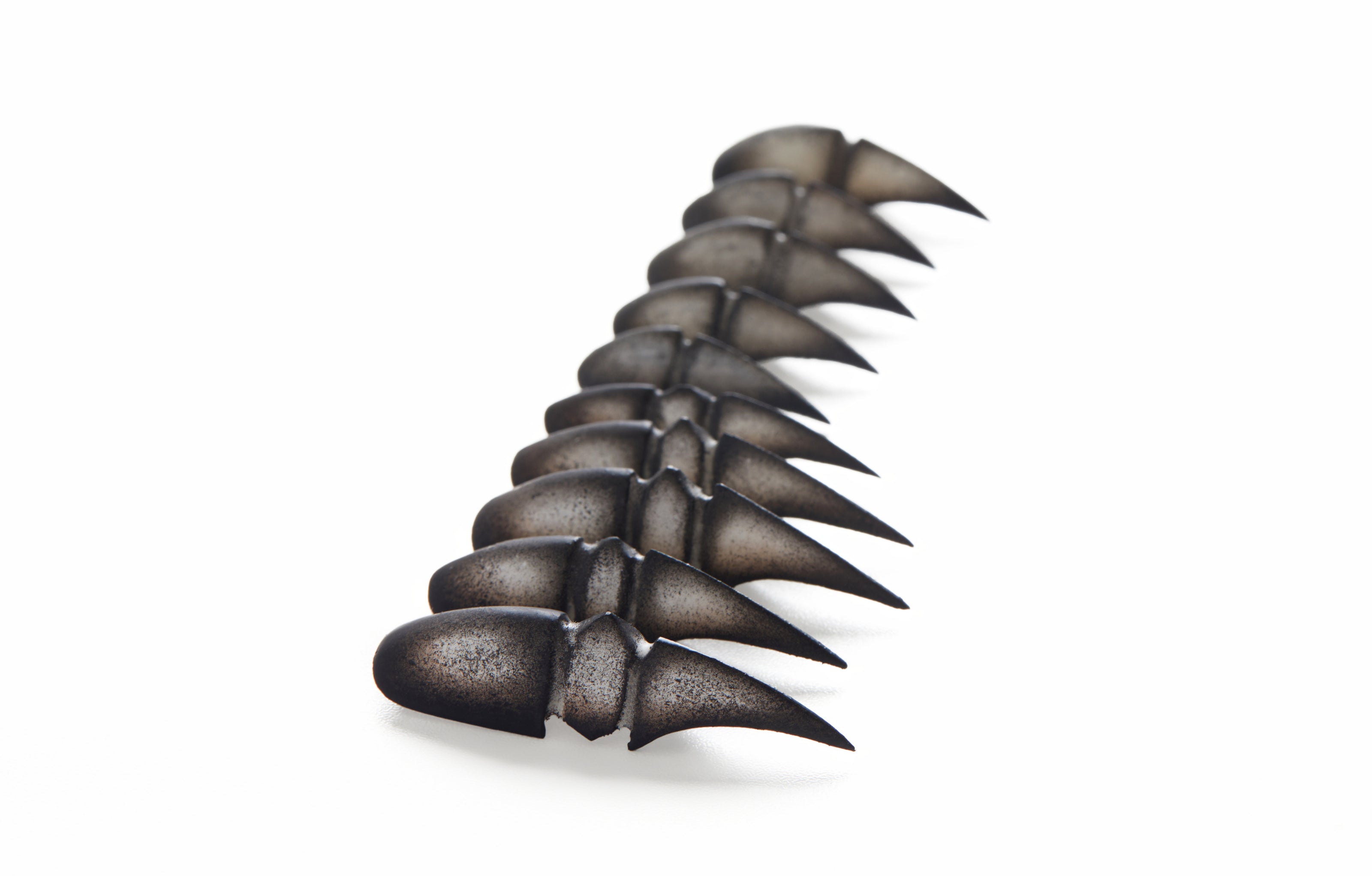 Halloween Edition — Bestiary: Scarab's Carapace