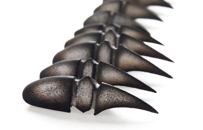 Special Edition — Bestiary: Scarab's Carapace