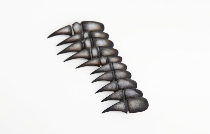 Special Edition — Bestiary: Scarab's Carapace